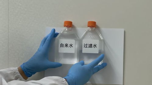 零距离探访安利 中国 透明工厂 揭秘明星产品背后的秘密