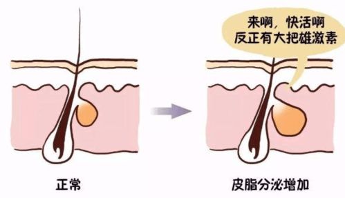 moodrose干货 这些护肤必备的知识,你一定要码住了