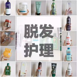 秋风萧瑟 不要脱发 油头细软发20 款洗护产品心得