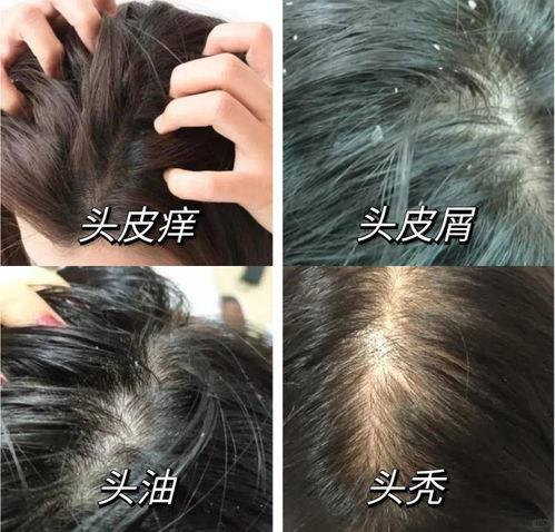 你用过最硬核的洗发水是什么