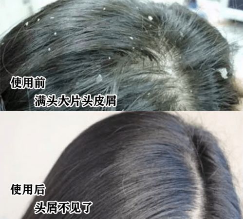60岁建厂,81岁被迫36亿卖公司,83岁再创业,他说人生从什么时候开始都不晚 周家礽