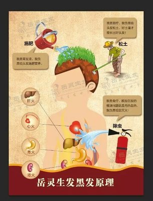济宁男人脱发大多是头洗的方法不对-济宁仁爱医院生发科0537-2172355_菏泽治疗脱发_济宁治疗脱发_济宁治疗脱发医院_济宁仁爱医院生发科